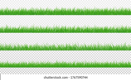 Green Grass Isolated Transparent background