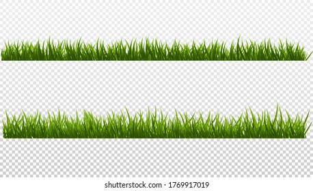 Green Grass Isolated Transparent background