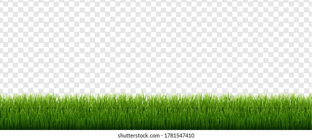 Green Grass Isolated Transparent Background, Vector Illustration