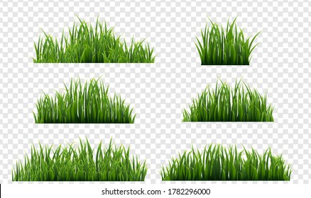 Green Grass Isolated Transparent Background, Vector Illustration