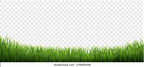 Grüne Gras einzeln auf transparentem Hintergrund mit Farbverlauf-Mesh, Vektorgrafik