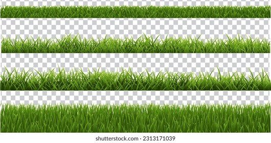 Green Grass Isolated Transparent Background, Vector Illustration