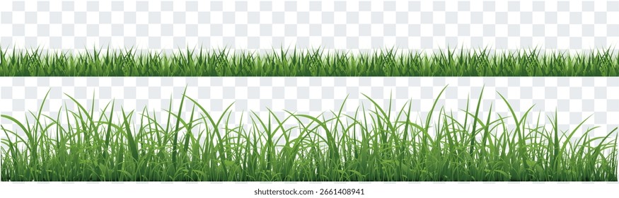 Fondo Aislado Y Transparente De La Hierba Verde, Ilustración vectorial
