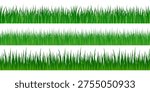 Green grass, isolated vector illustration.