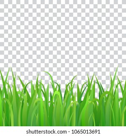 Green grass, isolated, vector illustration.