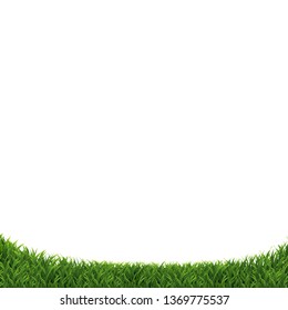 Green Grass Isolated, Vector Illustration