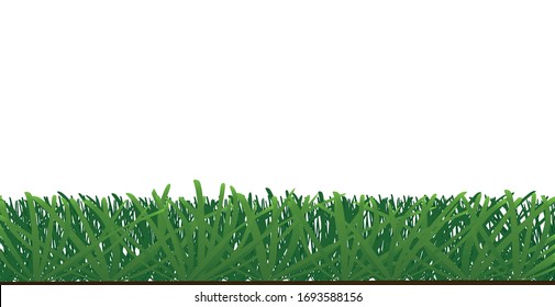 Green grass isolated. vector illustration