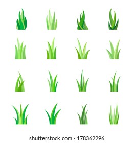 Green Grass, Isolated, Vector Illustration