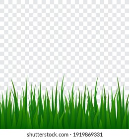 Green grass, isolated vector illustration.