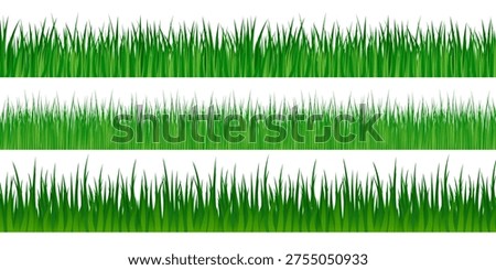 Green grass, isolated vector illustration.