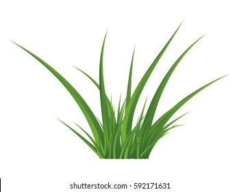 Green grass isolated vector symbol icon design. Beautiful illustration isolated on white background
