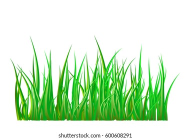 Green grass isolated vector symbol icon design. Beautiful illustration isolated on white background
