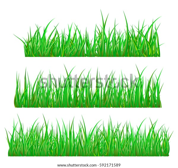 Green Grass Isolated Vector Symbol Icon Stock Vector (Royalty Free ...