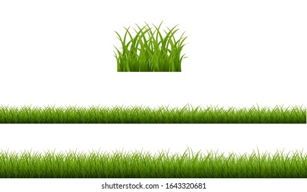 Green Grass Isolated White Background , Vector Illustration