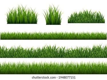 Green Grass Isolated White Background With Gradient Mesh, Vector Illustration
