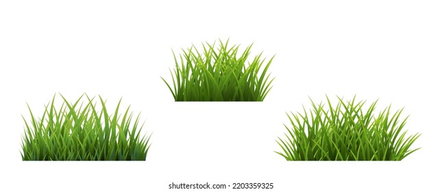 Green Grass With Isolated White Background With Gradient Mesh, Vector Illustration