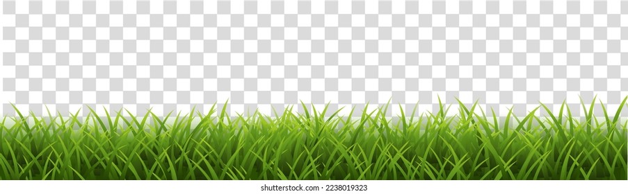 Fondo Blanco Aislado De Grasa Verde, Ilustración Vectorial