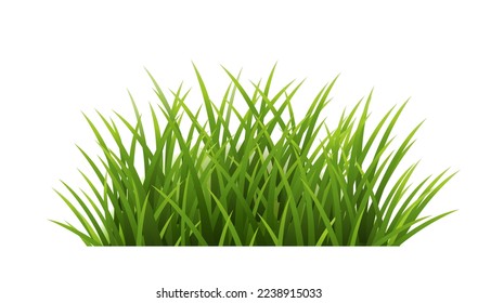 Green Grass Isolated White Background , Vector Illustration
