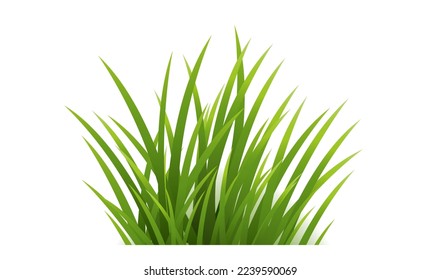 Green Grass Isolated And White Background , Vector Illustration
