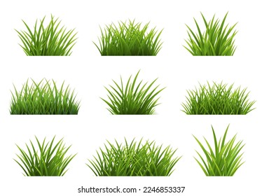 Grasa Verde Fondo Blanco Aislado Con Malla Gradiente, Ilustración Vectorial