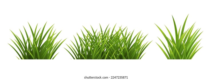 Green Grass And Isolated White Background