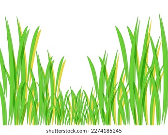 Green grass isolated at white background. Vector illustration