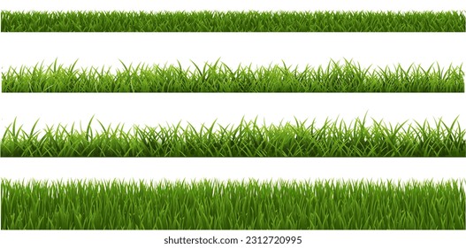 Green Grass Isolated White Background , Vector Illustration - Shutterstock ID 2312720995