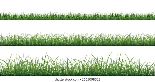 Fondo blanco aislado verde de la hierba, Ilustración vectorial
