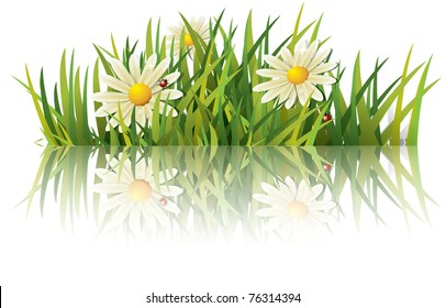 Green grass with ladybug