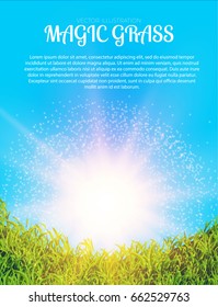 Green Grass Lawn Background with Sky and Sunburst. Summer Background. Vector illustration