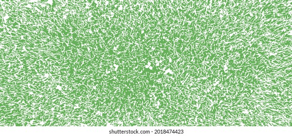 Green grass lawn background texture