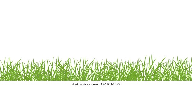 Green grass lawn banner. Border frame isolated transparent background. Vector flat Illustration on white background