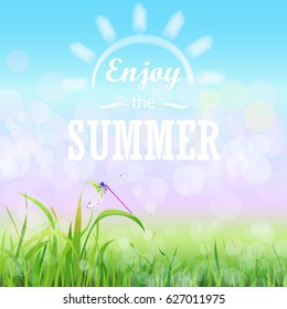 Green grass lawn with bokeh blue sky. Enjoy summer text on the Floral nature summer spring background.