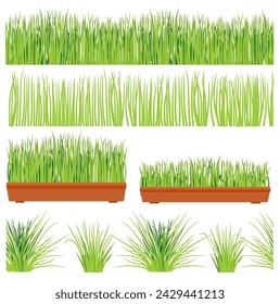 Green grass lawn, border or meadow vector illustration set. Horizontal background. Isolated on White Background. Herb collection. Young green grass in pot and outdoor. Spring.