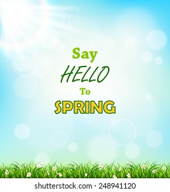 Green grass lawn with chamomiles on blue sky. Floral nature spring background