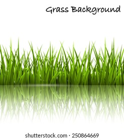 Green grass lawn with reflection on white. Floral nature spring background