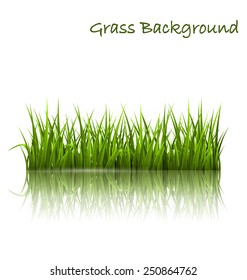 Green grass lawn with reflection on white. Floral nature spring background