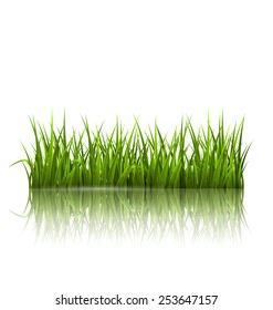 Green grass lawn with reflection on white. Floral nature spring background