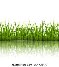 Green grass lawn with reflection on white. Floral nature spring background