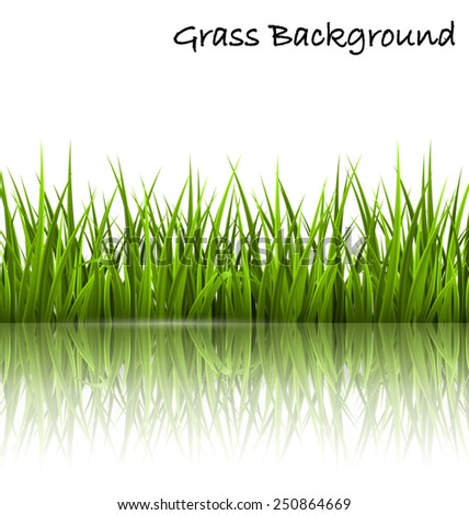 Green grass lawn with reflection on white. Floral nature spring background