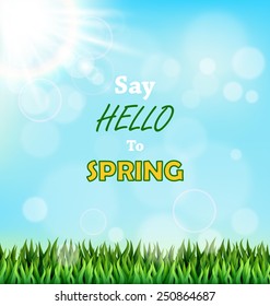 Green grass lawn with sunlight on blue sky. Floral nature spring background