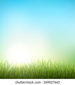 Green grass lawn with sunrise on blue sky. Floral nature spring background