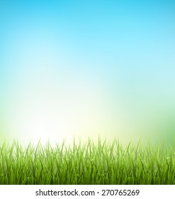 Green grass lawn with sunrise on blue sky. Floral nature spring background