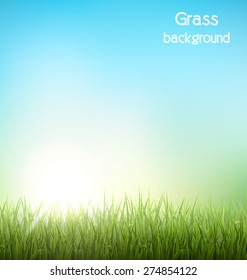 Green grass lawn with sunrise on blue sky. Floral nature spring background