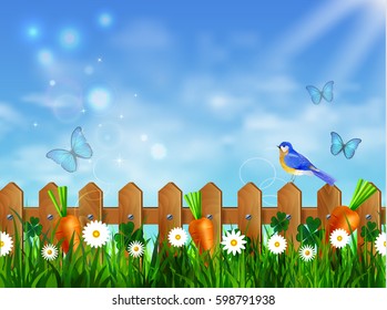 Green grass lawn with sunrise on blue sky