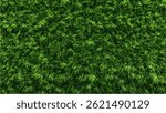 Green Grass Lawn Texture – Top View
