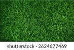 Green Grass Lawn Texture – Top View
