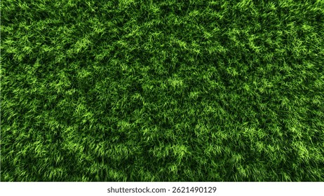 Green Grass Lawn Texture – Top View
