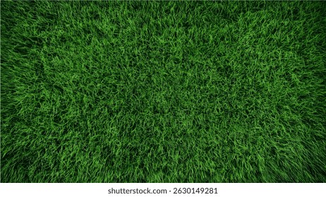 Green Grass Lawn Texture – Top View
