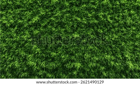 Green Grass Lawn Texture – Top View
